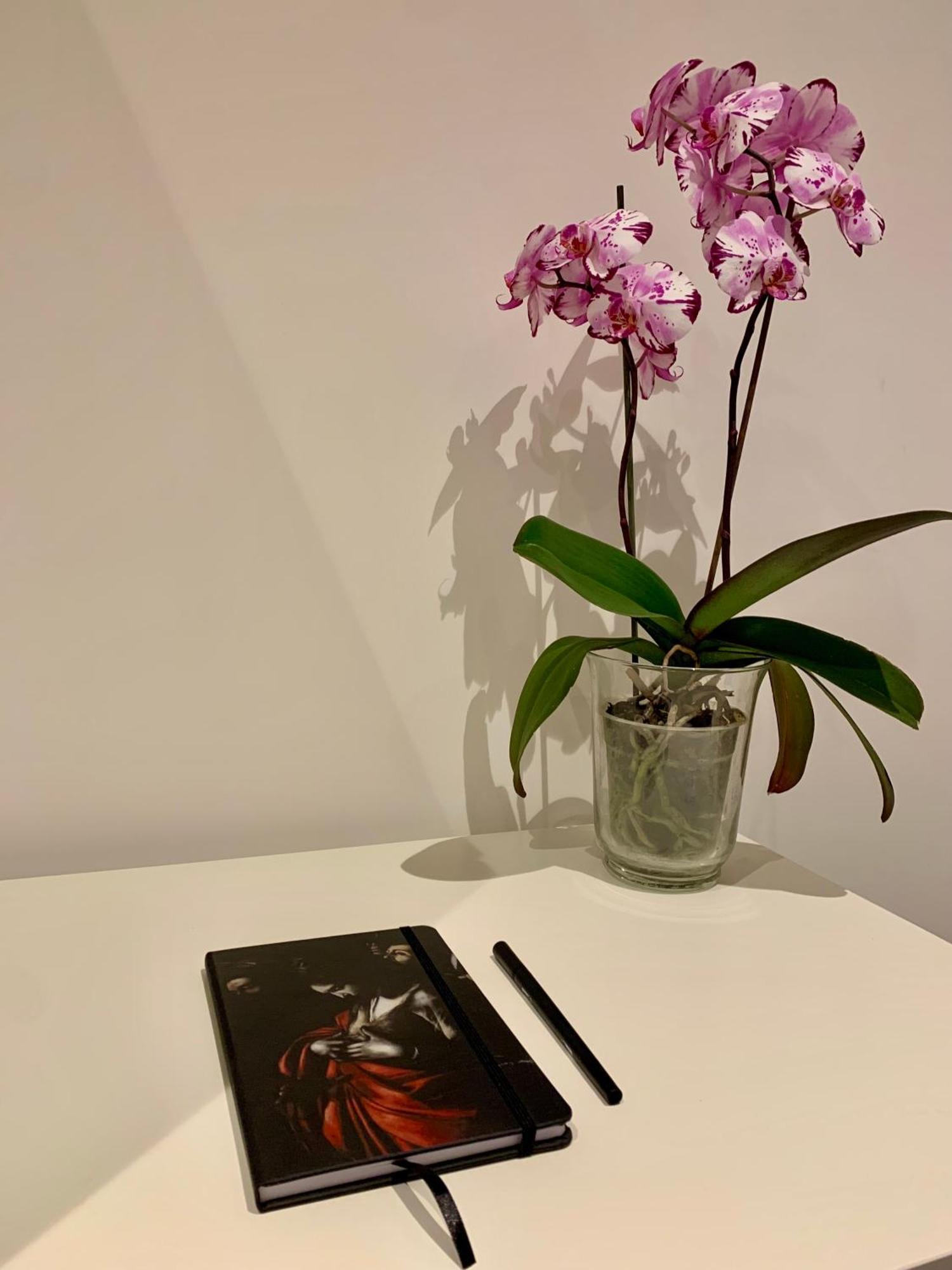 Residenza D'Artista Al Conservatorio 살레르노 외부 사진